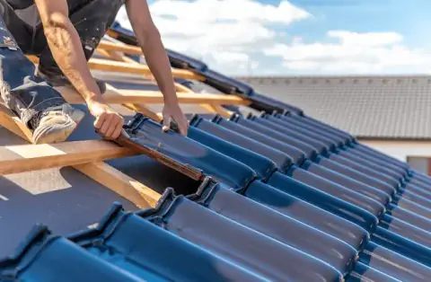 Couverture - Friesen